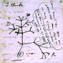 Albero della vita